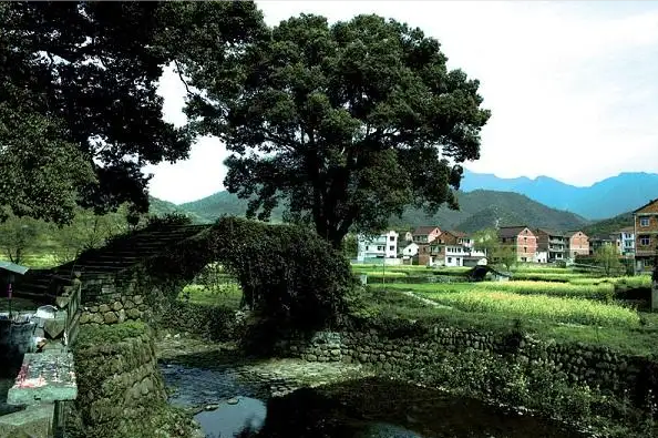 上海團(tuán)建